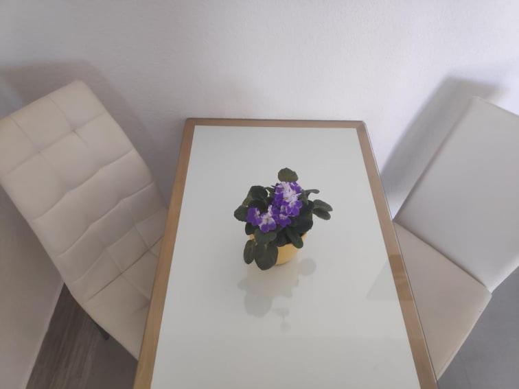 Apartmani Lucica Jezera Eksteriør billede